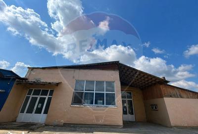 Spațiu comercial, de 612 mp, în Săliște - 1