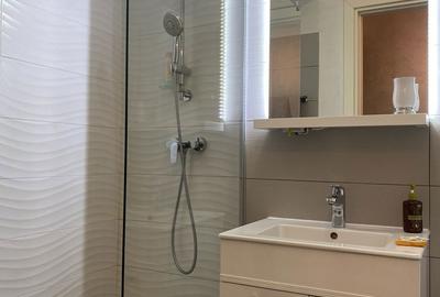 Apartament cu 2 camere decomandat în Albert - 4
