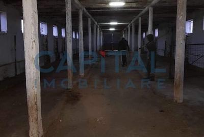 Ferma langa Oravita 5600 mp construiti si teren 24281 intravilan - 7