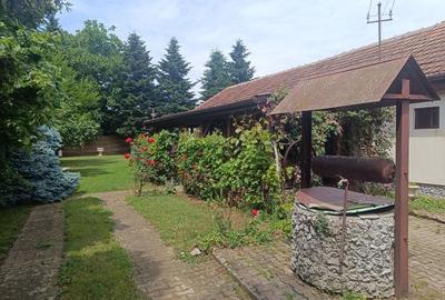 Casă cu 2 camere în Santăul Mare