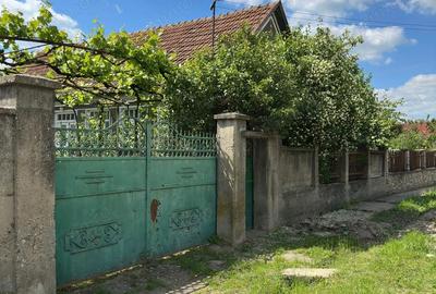 Casă cu 3 camere cu Teren 1500 Mp în Săbolciu - 8