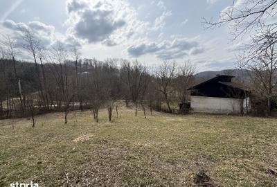 Teren de 2100 mp, în Provița de Jos - 1