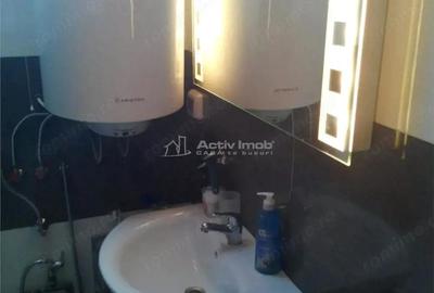 Casa pe malul lacului Paleu teren 510 mp - priveliste deosebita - 8