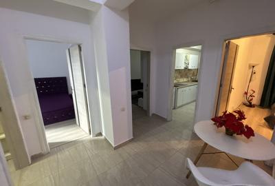 Apartament cu 3 camere, mobilat în Ozana - 7