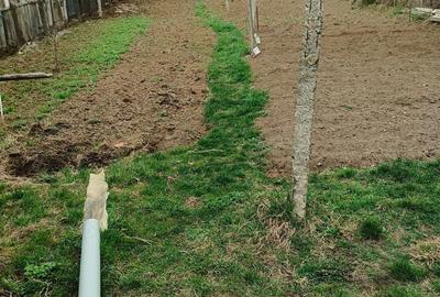 Vand casa in Blaj pe strada Clo?ca (Hula) - 2