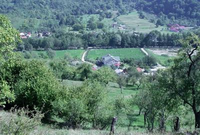 Casă individuală cu 5 camere cu Teren 60000 Mp în Corbi - 3