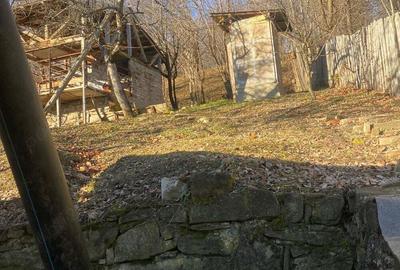 Casa de vanzare, in comuna Bertea, jude?ul Prahova - 8