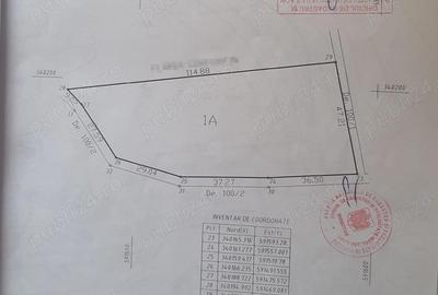 Teren de 4506 mp, în Tunari - 5