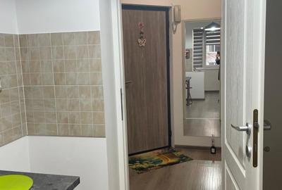Apartament cu 2 camere decomandat, mobilat în Ozana - 29
