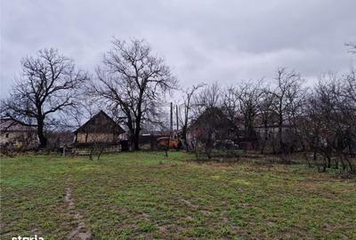 Casă cu 4 camere cu Teren 4600 Mp în Gepiu - 3