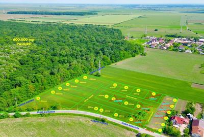 Teren Construcții intravilan de 417 mp, în Valea Călugărească