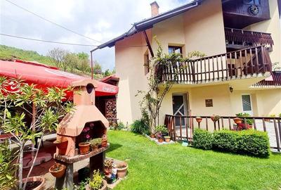 FILM!  Moieciu de Jos, Bran, pensiune in conditii apreciabile - 34