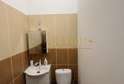 Spatiu comercial , 181 mp utili , zona Big - 5
