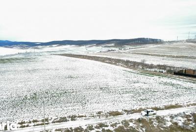 Teren de 4800 mp, în Ciritei - 7