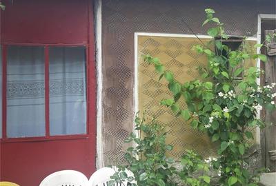 Casă cu 3 camere cu Teren 450 Mp în Hidiș - 9