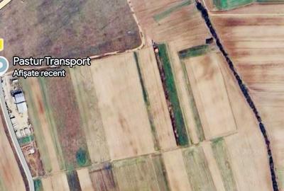 Teren agricol extravilan de 4634 mp, în Nojorid - 1