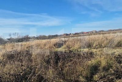 Teren de 1900 mp, în Odoreu - 1