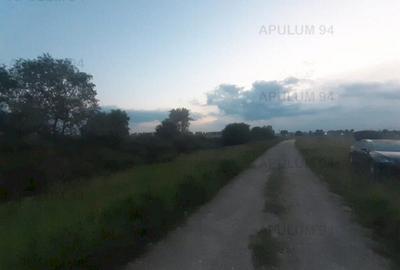Teren aproape de Bucuresti langa padure - 10