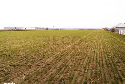 Spațiu comercial, în Cheriu - 4