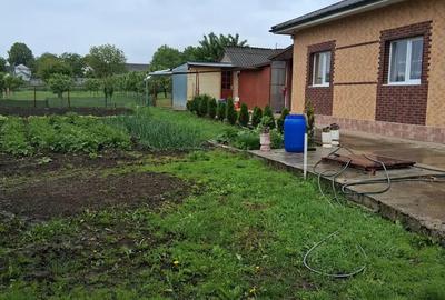 Vind casa Serbanesti - 8