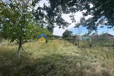 Teren de Vanzare 1172 mp Dumbrava Ro?ie, Neam? - 3