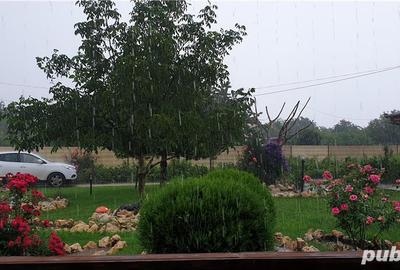 Casă cu 5 camere cu Teren 6000 Mp în Topraisar - 2