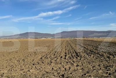 Teren de 5300 mp, în Arcalia - 2