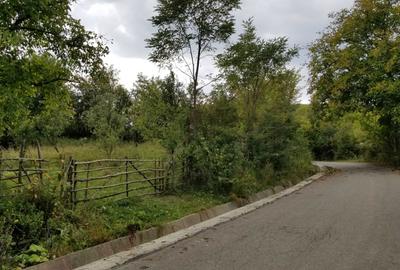 Teren de 974 mp, în Poiana - 2
