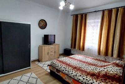 Vila cu 7 camere cu suprafata utila de 404mp spre vanzare in Seica Mare - 15