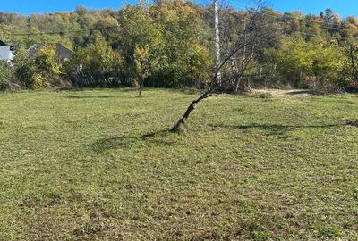 Teren de 2500 mp, în Gura Vitioarei - 3