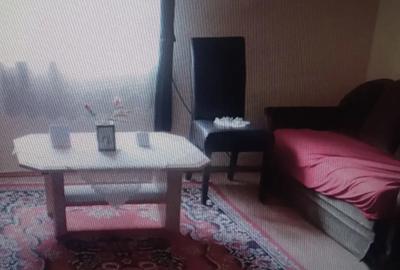 Casă cu 3 camere în Diosig - 10