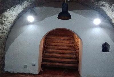 Spațiu comercial, de 45 mp, în Gară - 7