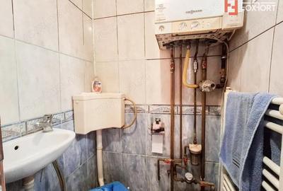 Apartament cu 2 camere de vanzare in Timisoara la curte comuna, zona Elisabetin - 8