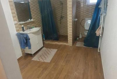 Casă cu Teren 3000 Mp în Dăbâca - 1