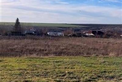 Teren TOP 1400mp /18ml stradal  Vanatori (Odaia Manolache) - 7