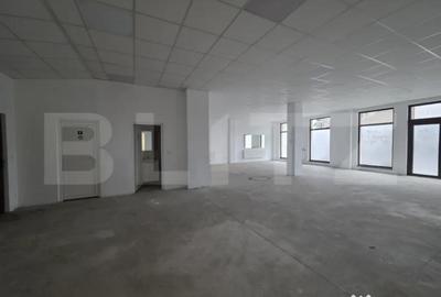 Spațiu comercial, de 270 mp, în Semicentral - 5