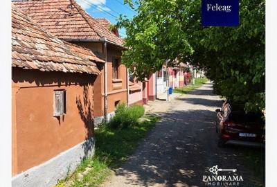 Casă cu 3 camere cu Teren 1590 Mp în Vânători