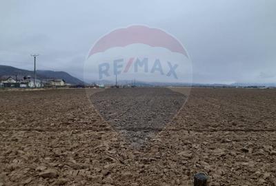 Teren Construcții intravilan de 7150 mp, în Glăjărie - 2