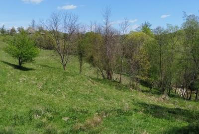 Teren de 7795 mp, în Golești - 7