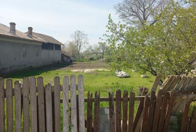 Teren în Victoriei - 3