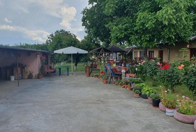 Casă cu 4 camere în Oltina - 10