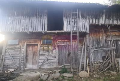 Casa batraneasca cu teren (4.910 mp) la Alunis - 16