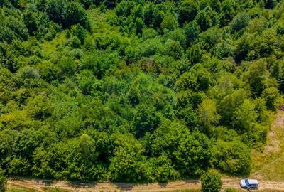 COMISION 0% Teren Grid/Inima Naturii/ Oportunitate de inv... - 8