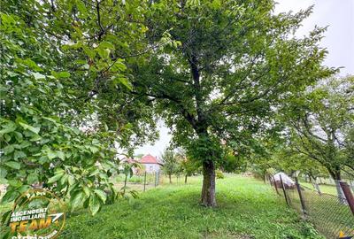 Casă cu 4 camere cu Teren 1660 Mp în Brețcu - 5