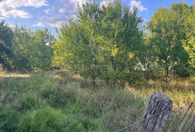 Teren de 1060 mp, în Darova - 7