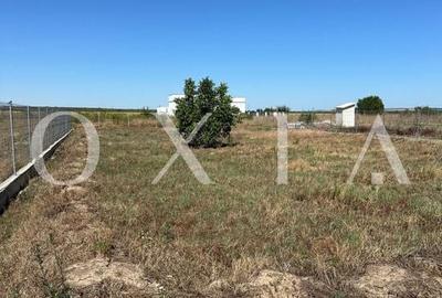 OX662 Oportunitate de dezvoltare in Pischia - 8