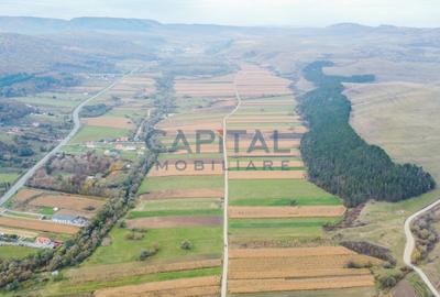 Terenuri de vanzare in Gilau - 1
