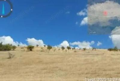 Teren extravilan Loc. Bucovat sat Sarbatoarea, jud. Dolj - 5