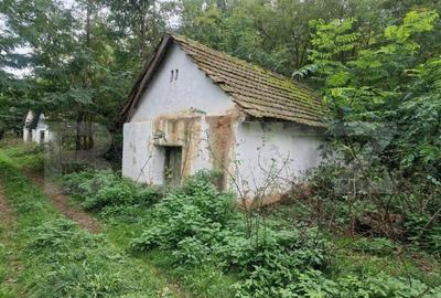 Teren intravilan 7.9 ha. Sandra - 11