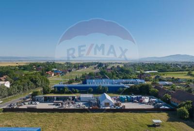 Teren Industrial, 3300 mp, / DJ 112D, Carpinis - 11